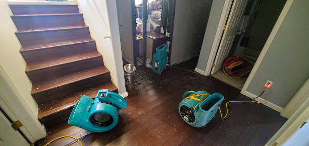 Carpet water damage restoration in Seven Corners, VA