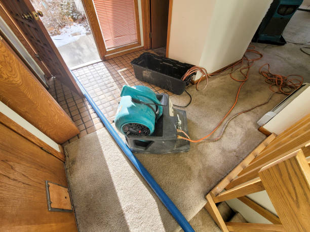 Best Water damage contractors near me  in Seven Corners, VA