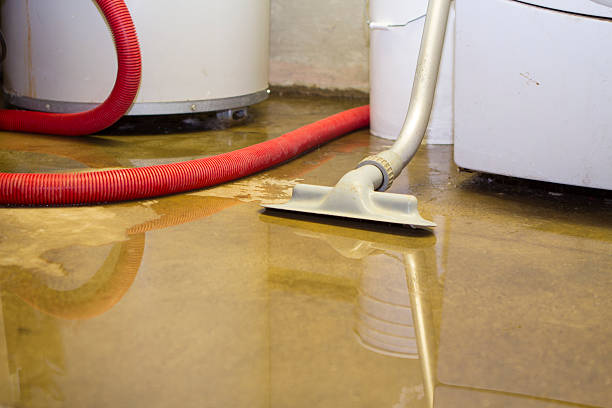 Sewage cleanup and water damage restoration in Seven Corners, VA