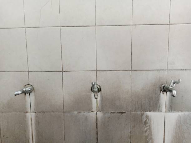 Best Carpet water damage restoration  in Seven Corners, VA
