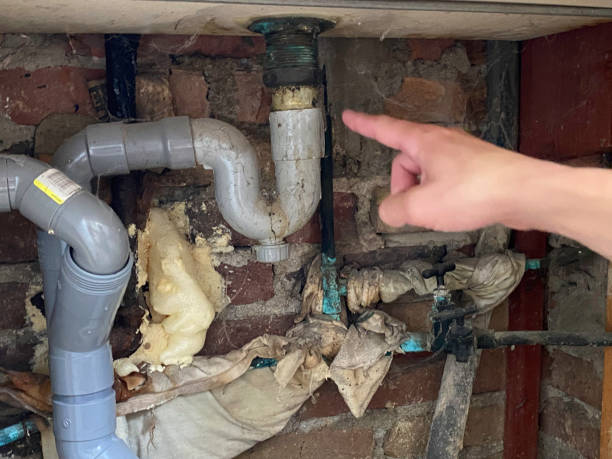 Best Water damage cleanup near me  in Seven Corners, VA