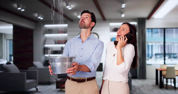 Best Local water damage restoration  in Seven Corners, VA