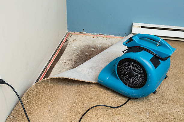 Best Basement water damage restoration  in Seven Corners, VA